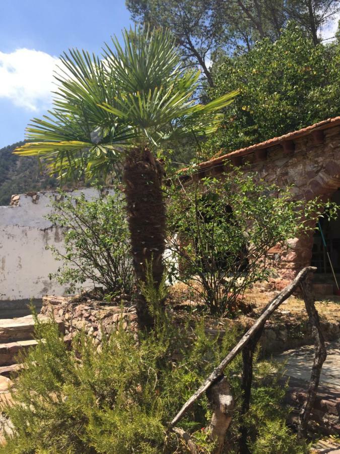 Holiday home La Casita Penablanca *